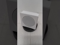 BERG-SPRECHER DER WAND-FWS-103