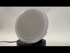 FIP-910POE IP-DECKEN-SPRECHER