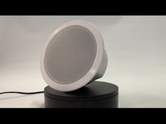 FIP-906 IP POE DECKENLAUTSPRECHER