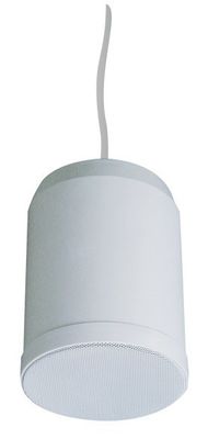 hängende hängende Sprecher-InnenBeschallungsanlage 10W 20W
