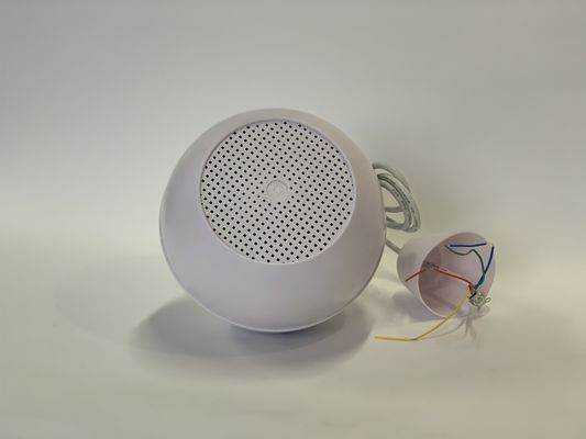 Lautsprecher-Innenpas PA-2.5w-5w-10w hängender Sprecher für Schule